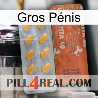 Gros Pénis 43